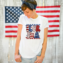 Load image into Gallery viewer, Americana State