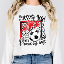 Load image into Gallery viewer, At The Soccer Field