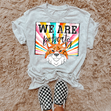 Load image into Gallery viewer, Starburst Bobcats Mascot