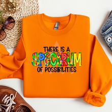 Load image into Gallery viewer, Spectrum Of Possibilities