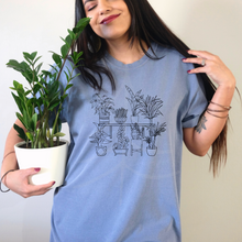 Load image into Gallery viewer, House Plants