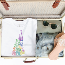 Load image into Gallery viewer, County States