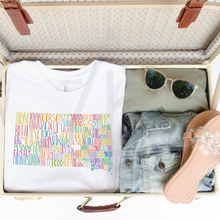 Load image into Gallery viewer, County States