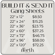 Load image into Gallery viewer, Build It &amp; Send It Custom DTF Gang Sheets
