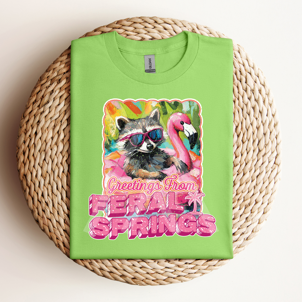 Feral Springs Summer