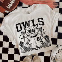 Load image into Gallery viewer, Letterman Mascots
